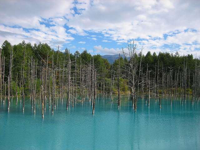 裏技 必見 北海道 美瑛の青い池をいつでも青く撮影するためのテクニックが意外と簡単